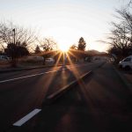 明るい兆し　240209 (1 - 1)